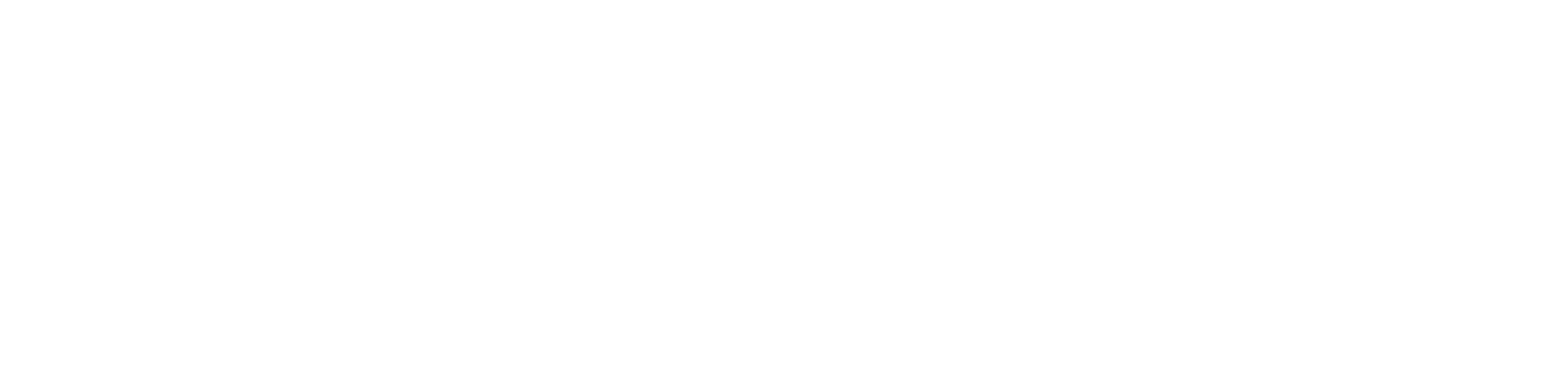 LOGO-PNG-WHITE
